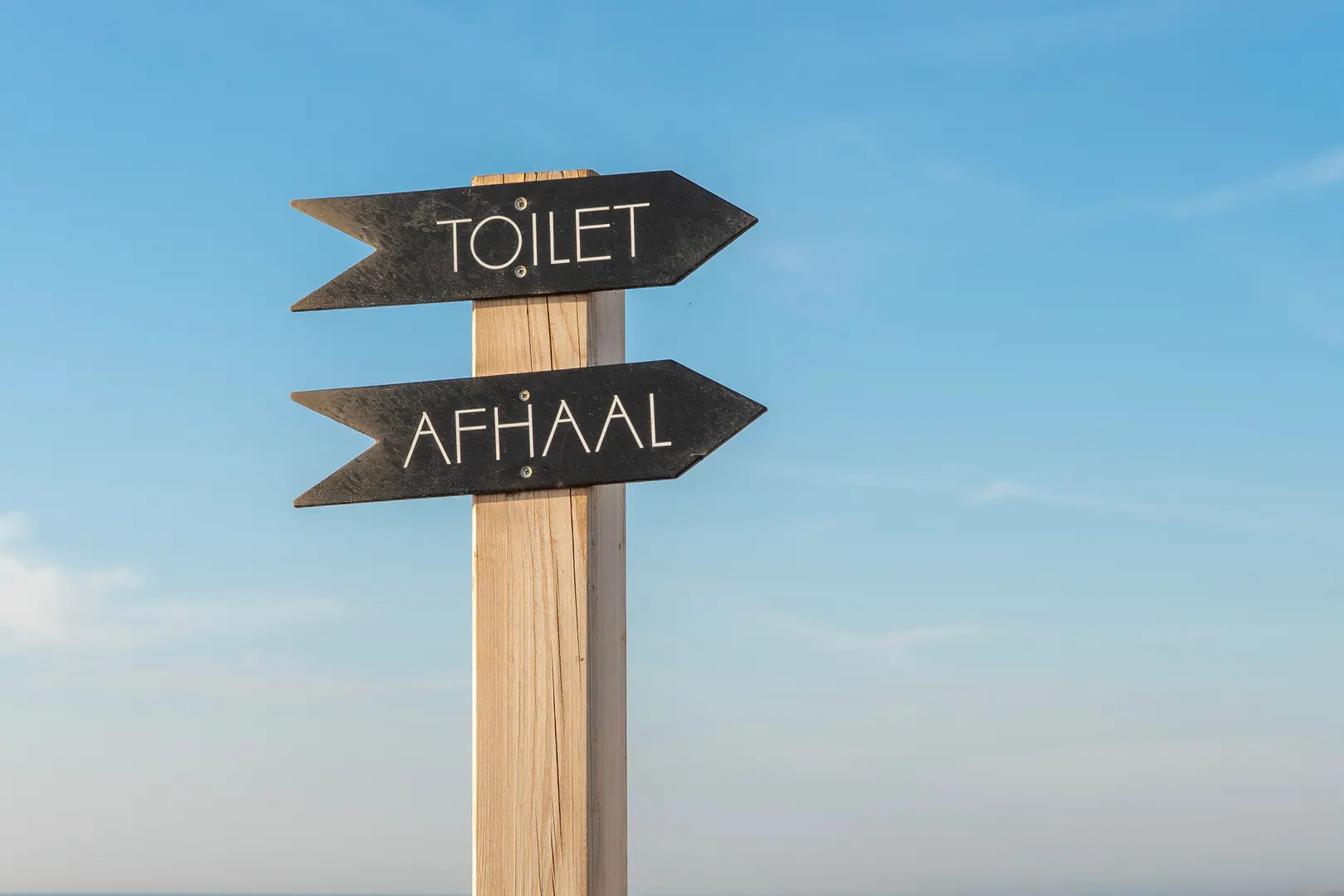 How Often Do You Need to Replace Your Toilet?