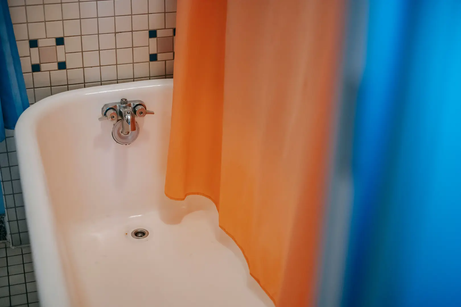 How to Keep a Shower Curtain From Molding: Remove Mold and Prevent Its Return