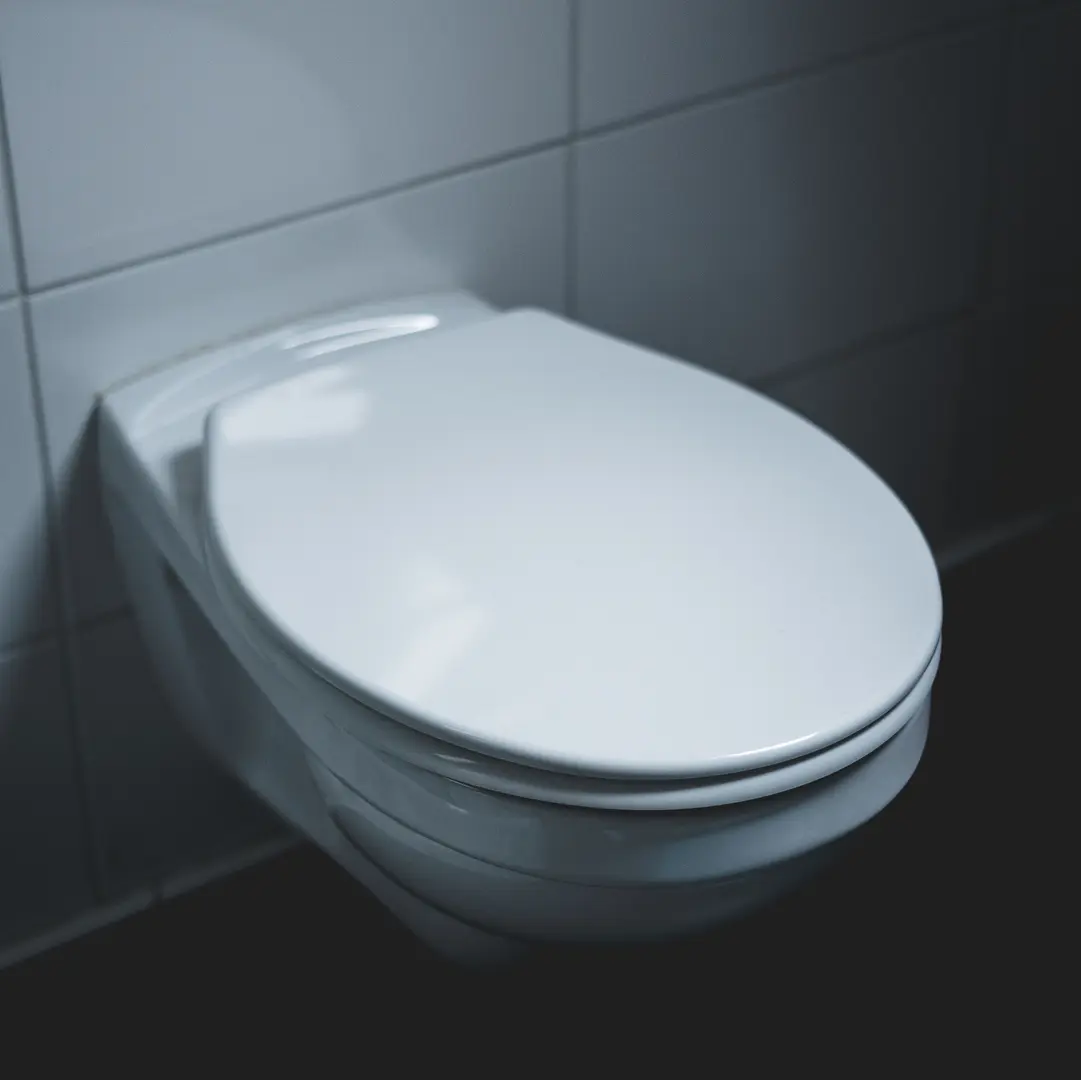 How to Replace a Toilet Seat: A Step-by-Step Guide