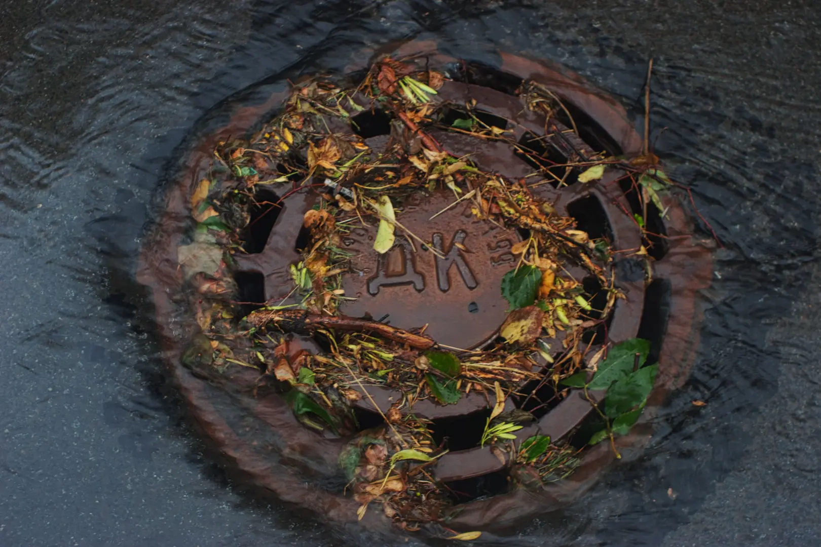 How to Unclog a Shower Drain: Remove Hair, Soap Scum, and Debris